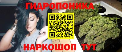крисы Конаково