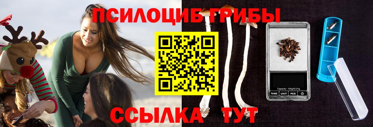 Псилоцибиновые грибы Magic Shrooms Дубна